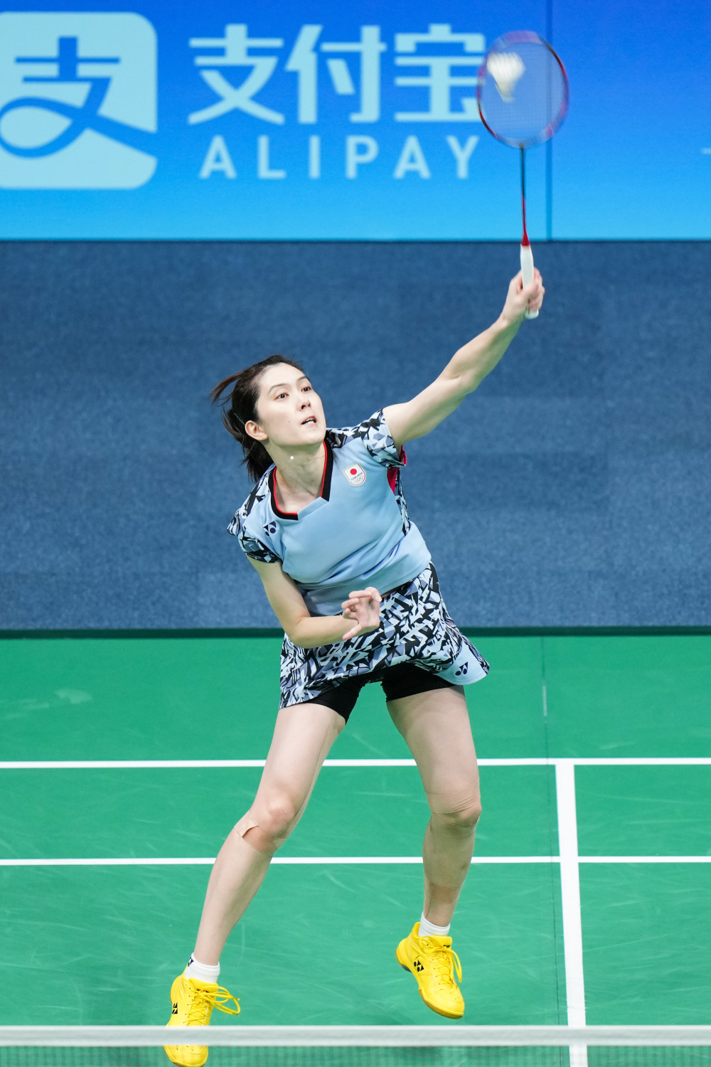 但无奈灰熊 但无奈灰熊