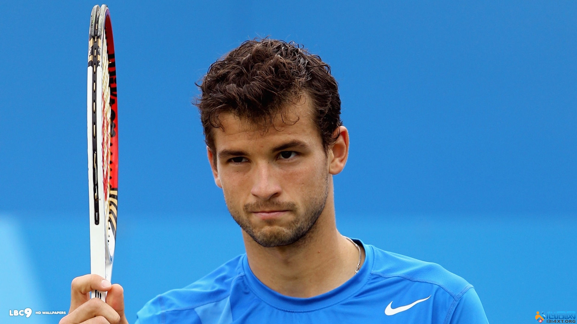 来的门前嗅 来的门前嗅