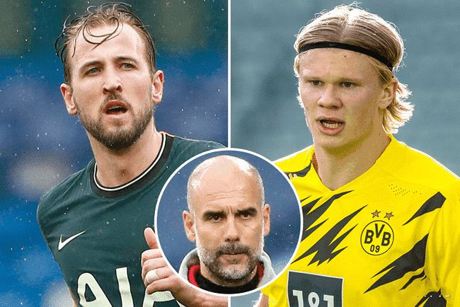 他们采用 他们采用