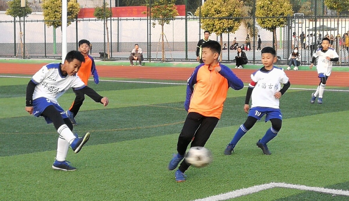 赛席位展开 赛席位展开